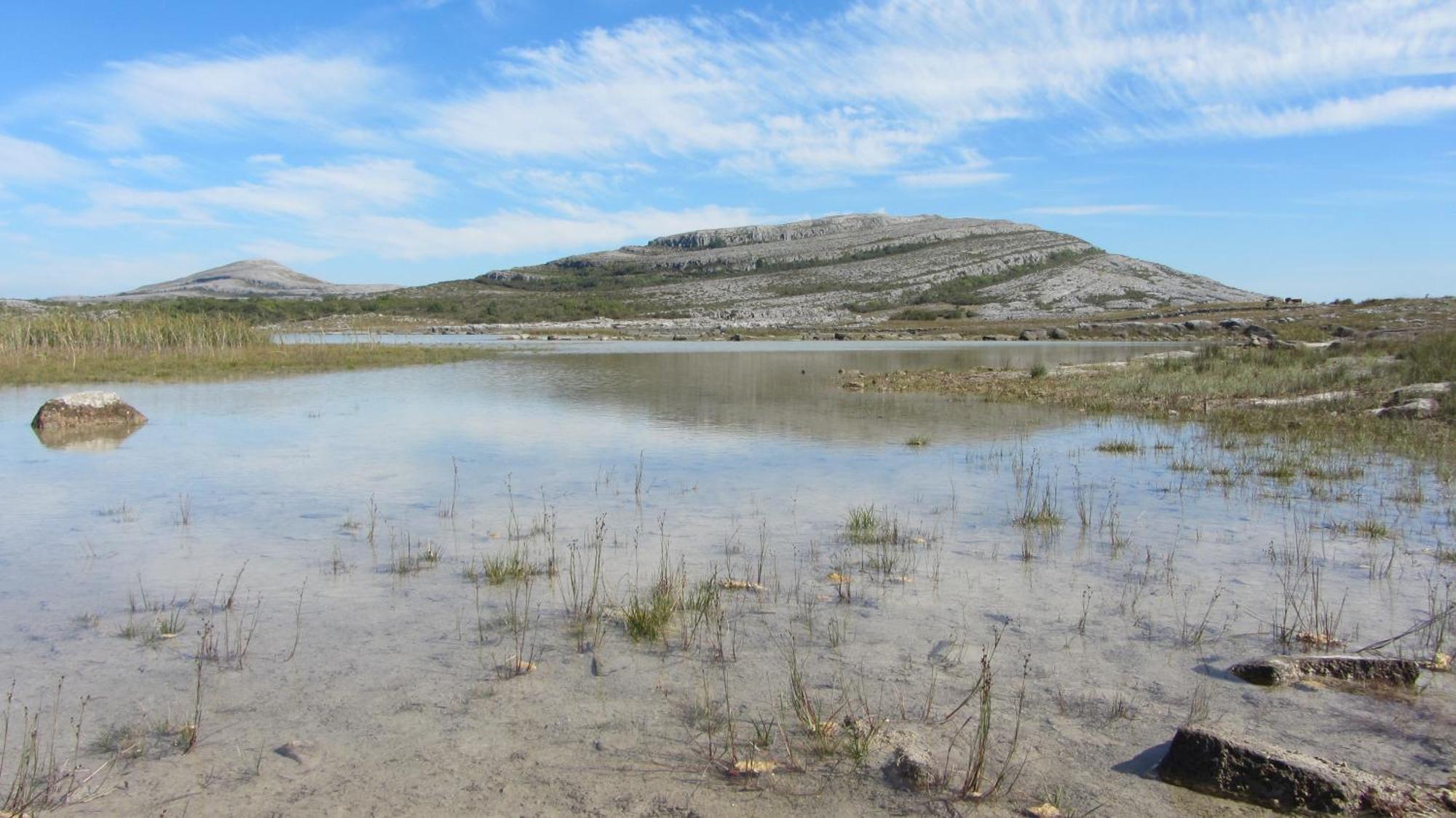 Inchiquin House, Period Home In The Heart Of The Burren Corofin  Exteriör bild